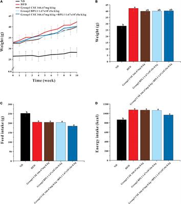 Effects of Coix Seed Extract, Bifidobacterium BPL1, and Their Combination on the Glycolipid Metabolism in Obese Mice